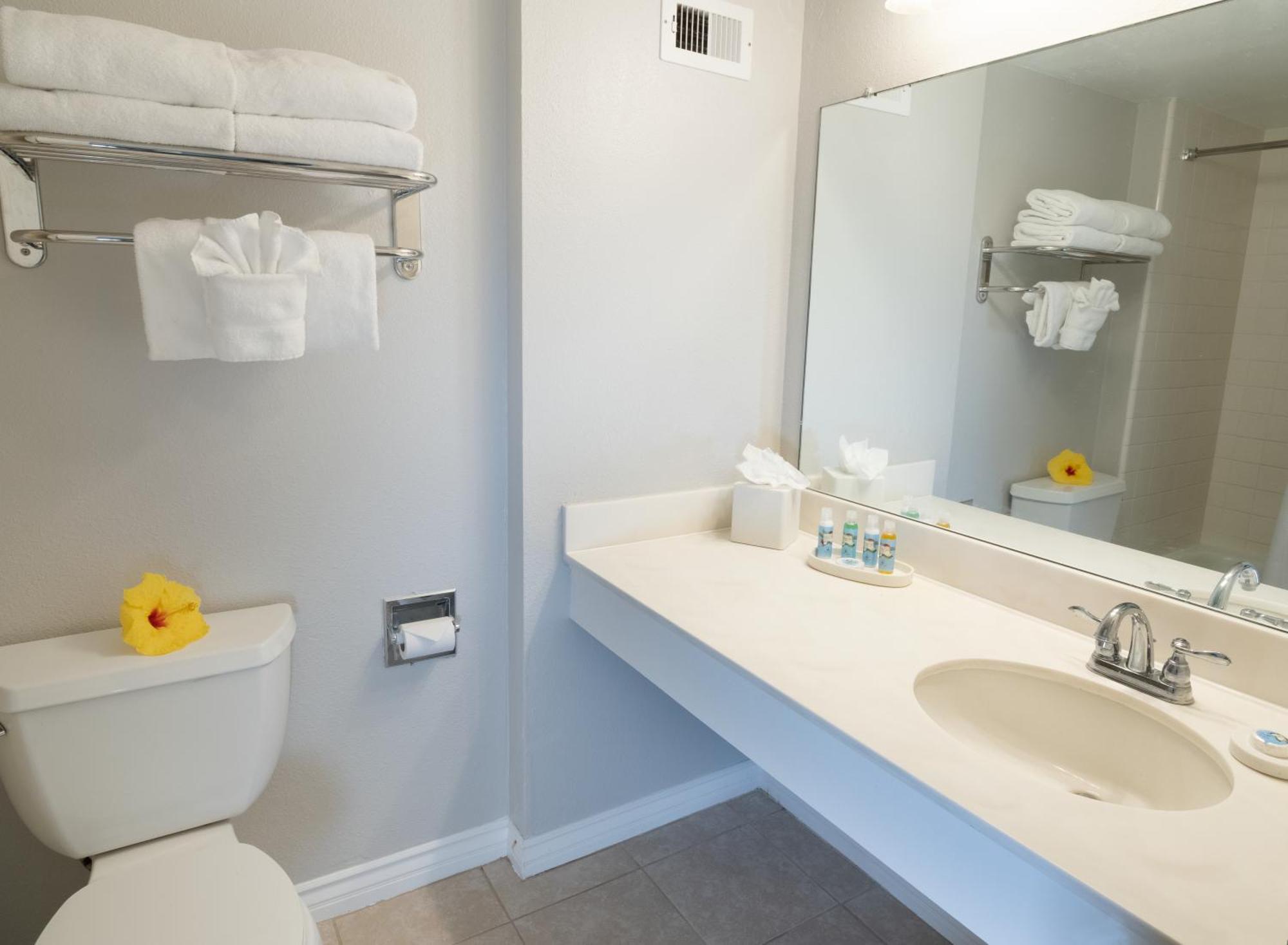 Lagoon Tower Renovation Ocean View Room